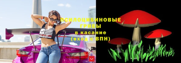 молекула духа Каменск-Шахтинский