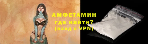 молекула духа Каменск-Шахтинский
