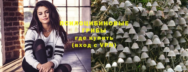 молекула духа Каменск-Шахтинский