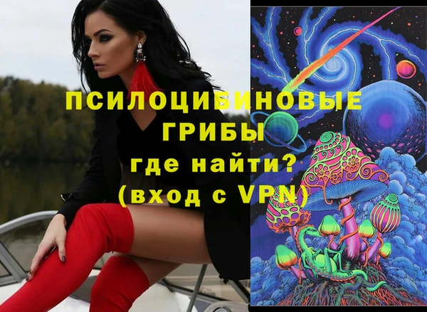 молекула духа Каменск-Шахтинский
