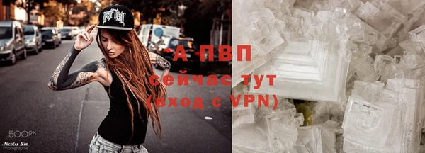 молекула духа Каменск-Шахтинский
